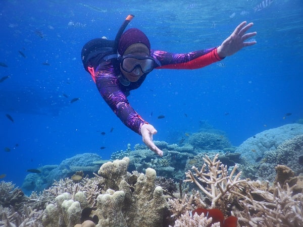 Travel Snorkeling Jepara 2023