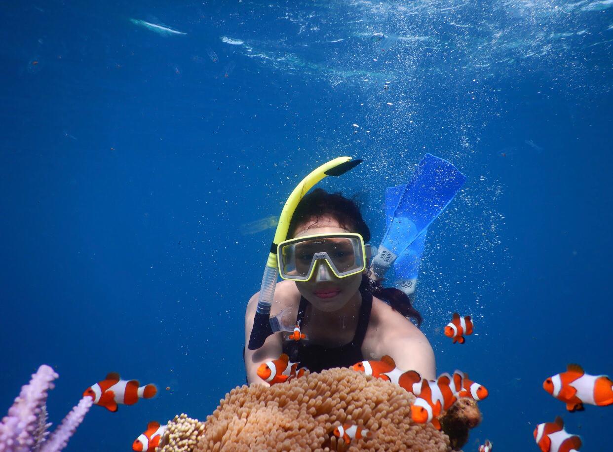 Tour Wisata Karimunjawa Promo