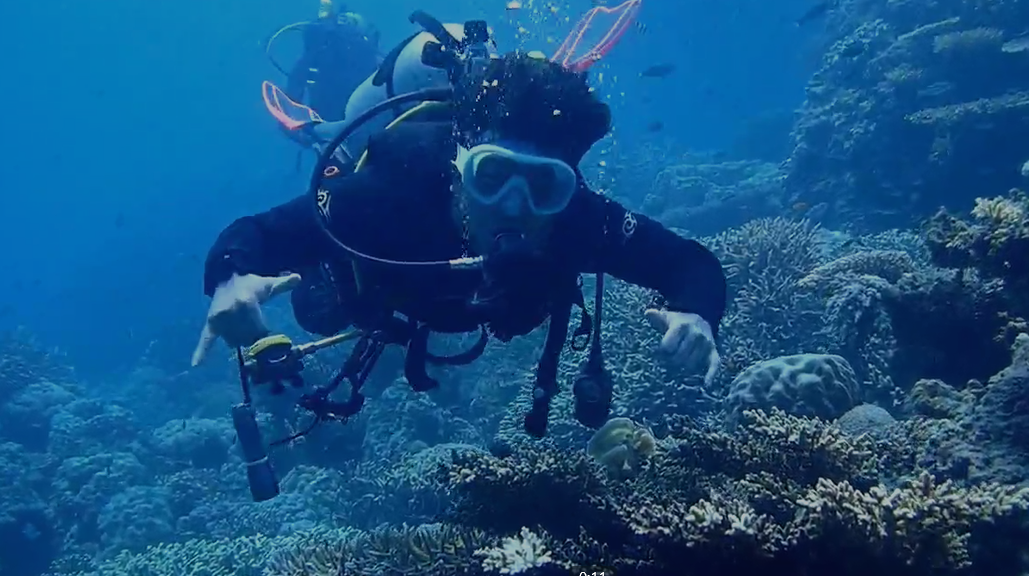 Paket Diving Karimunjawa